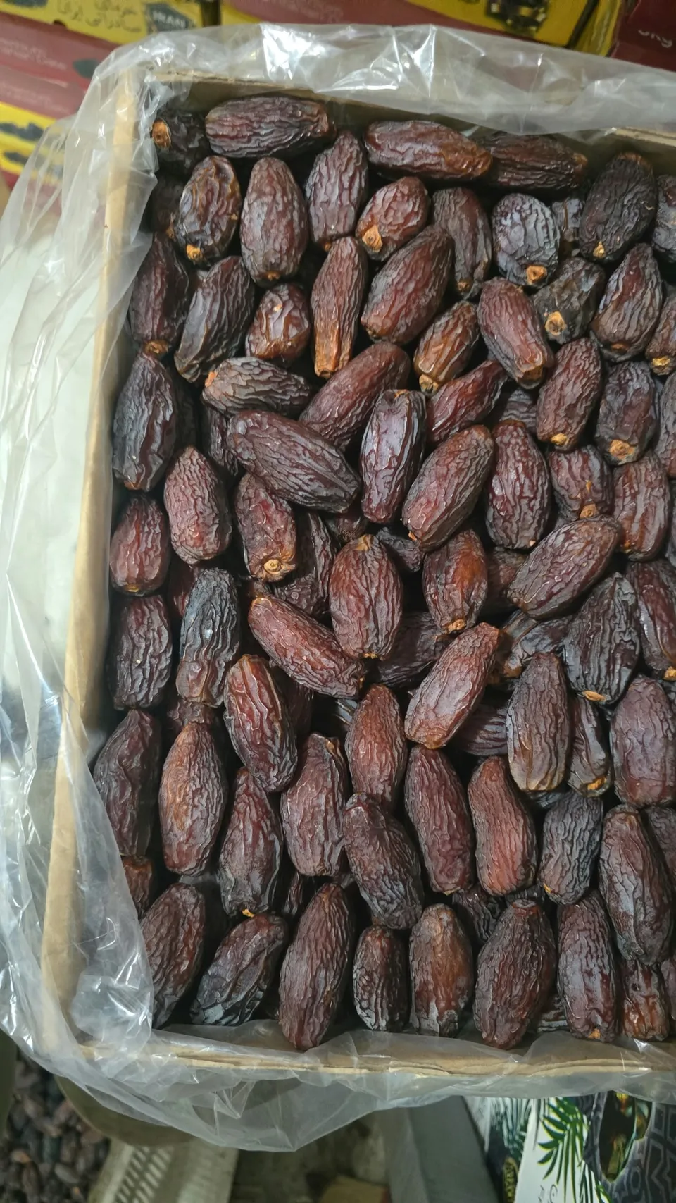 مجول