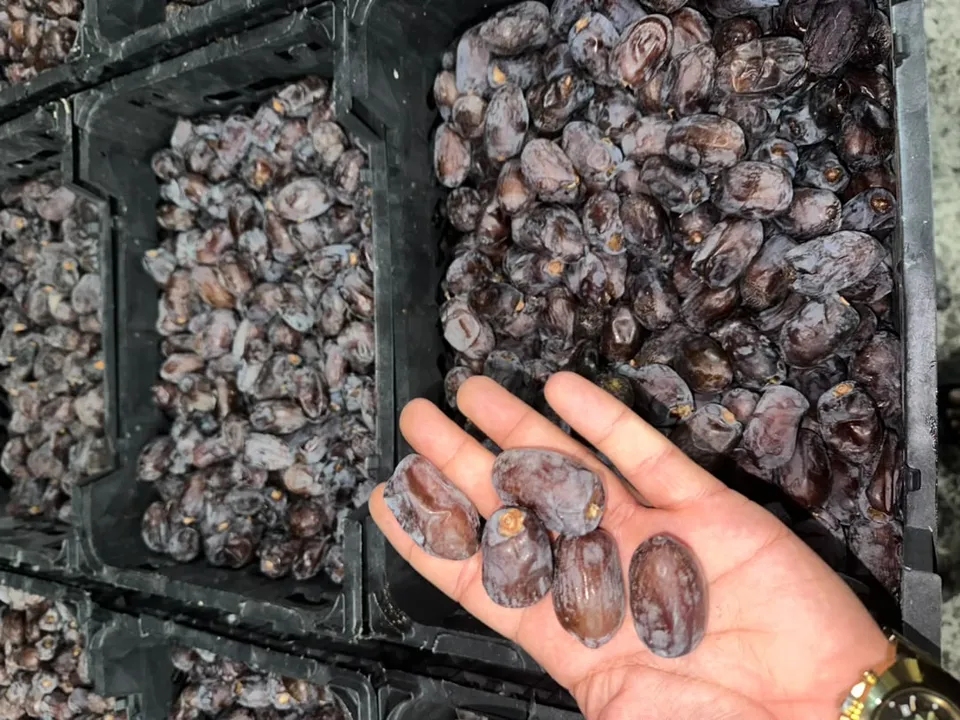 کلوته